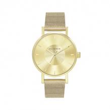Gold with Mesh Band 