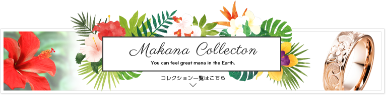 コレクションを見る